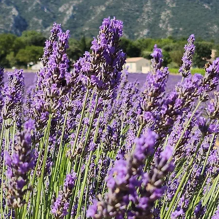 Le Clos Renaissance Bed & Breakfast Oppede